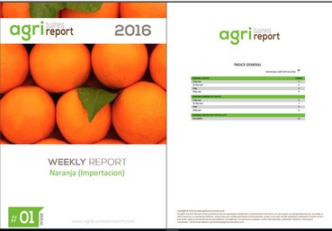 Agribusiness Report
